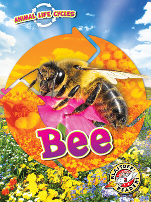 cover image of Animal Life Cycles: Bee